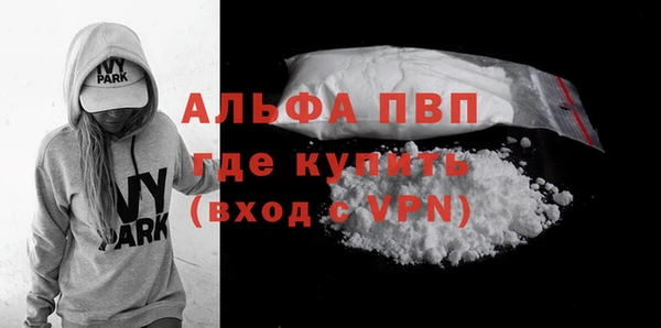 a pvp Бородино