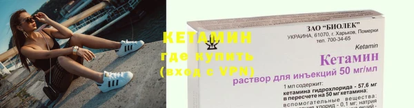 a pvp Бородино