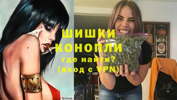 a pvp Бородино