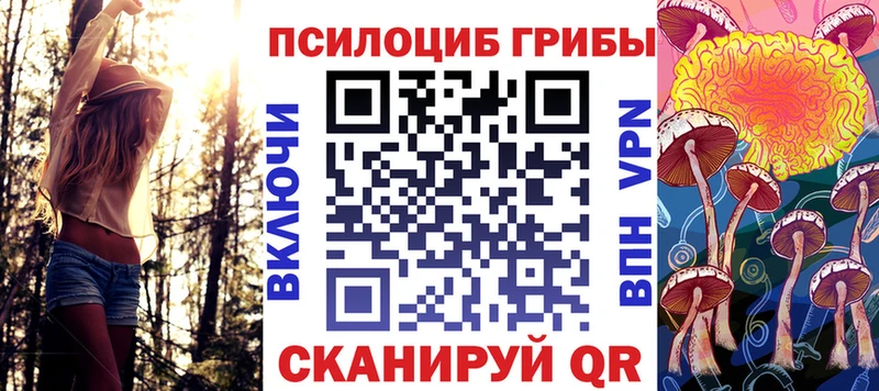 Купить где  Алексин  Галлюциногенные грибы MAGIC MUSHROOMS 